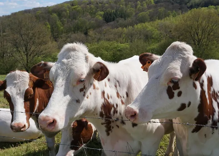 A Mechels منزل ريفي Bettel