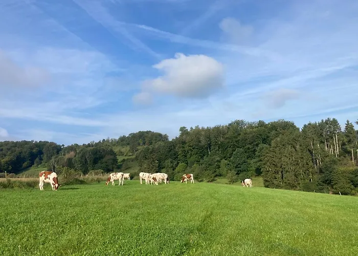 منزل ريفي A Mechels